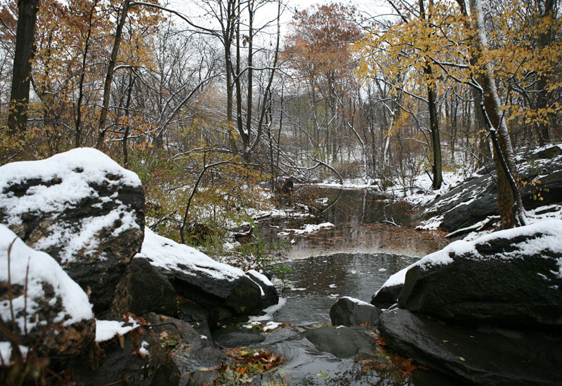 Ravine in Central Park