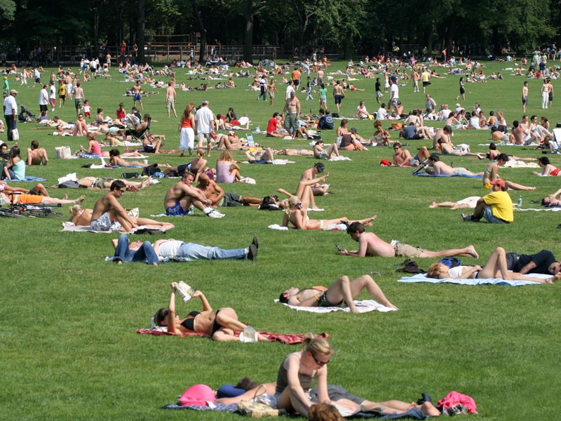 Sheep Meadow in Central Park